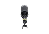 Pneumatic strut