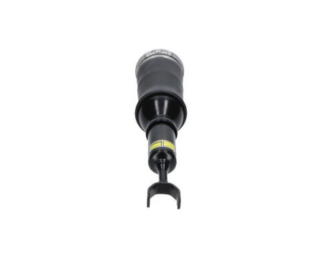 Pneumatic strut