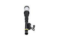 Pneumatic strut