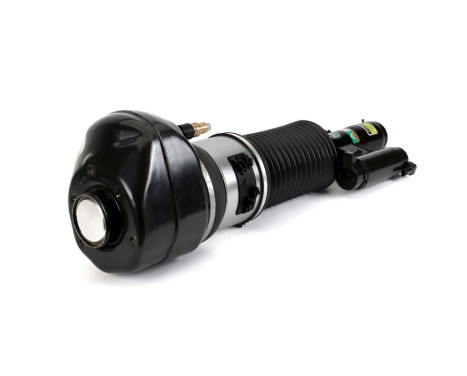 Pneumatic strut