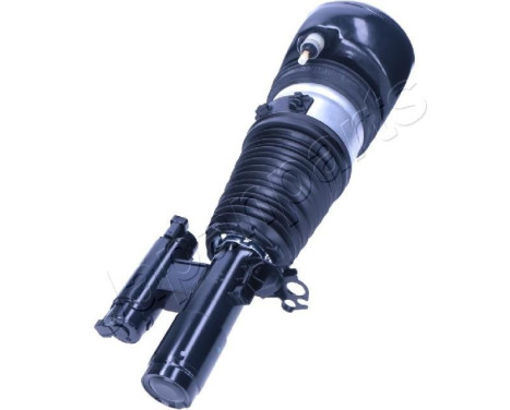 Pneumatic strut Pneumatic strut