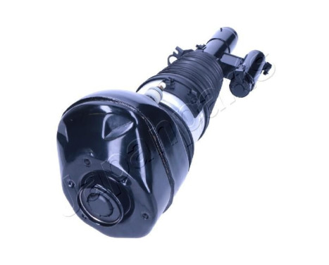 Pneumatic strut, Image 2 Pneumatic strut, Image 2