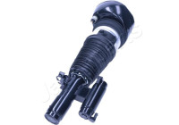 Pneumatic strut
