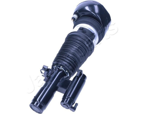 Pneumatic strut