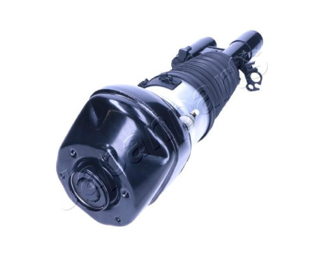 Pneumatic strut, Image 2