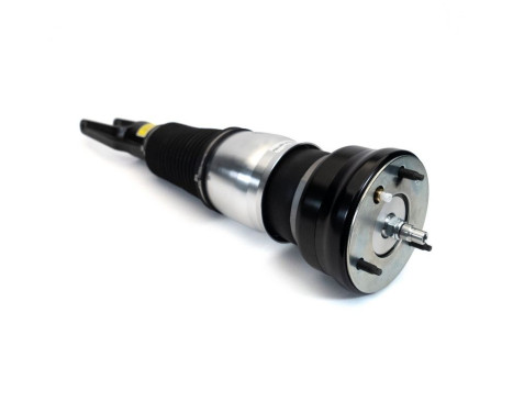 Pneumatic strut