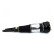Pneumatic strut, Thumbnail 4