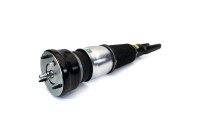 Pneumatic strut