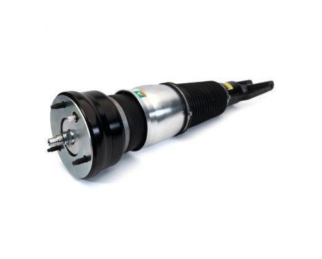 Pneumatic strut