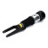 Pneumatic strut, Thumbnail 2