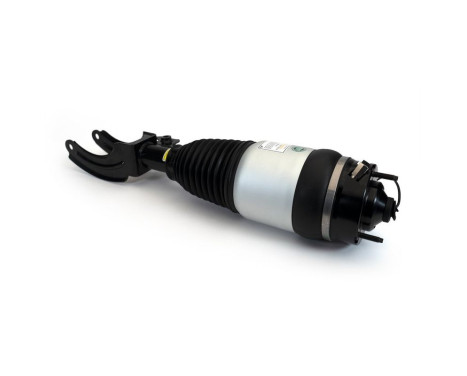 Pneumatic strut