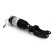 Pneumatic strut, Thumbnail 2