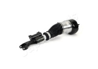 Pneumatic strut