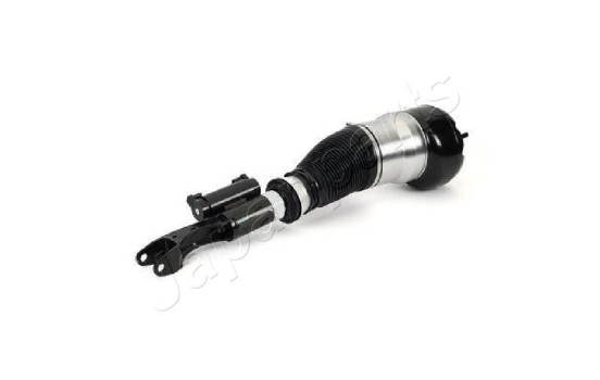 Pneumatic strut