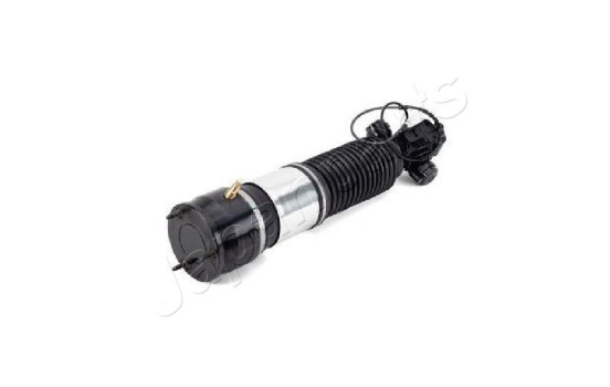Pneumatic strut