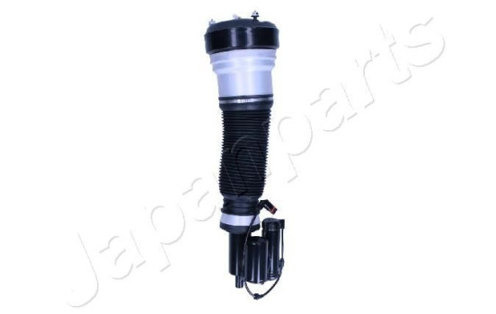 Pneumatic strut