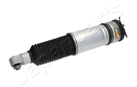 Pneumatic strut