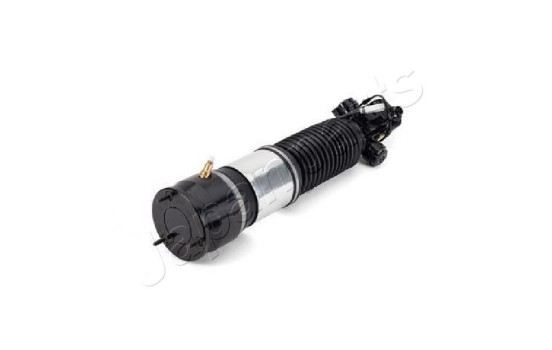 Pneumatic strut
