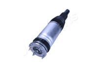 Pneumatic strut