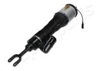 Pneumatic strut