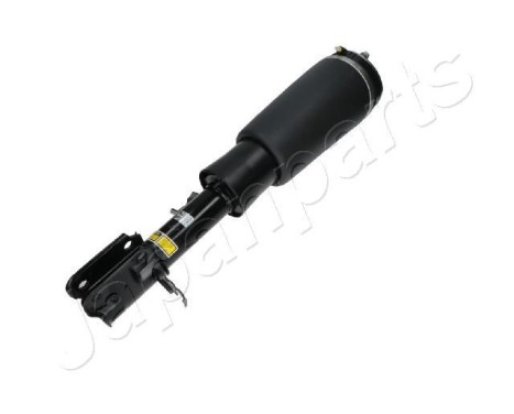 Pneumatic strut, Image 2