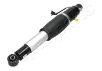 Pneumatic strut