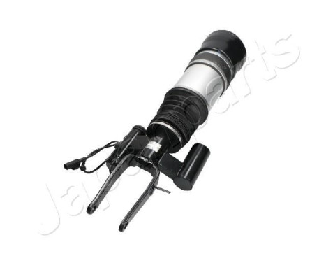 Pneumatic strut