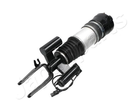 Pneumatic strut, Image 2