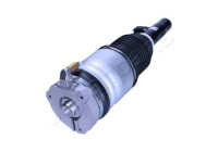 Pneumatic strut