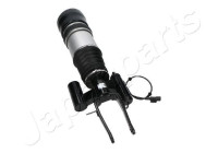 Pneumatic strut