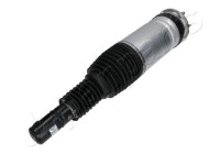 Pneumatic strut
