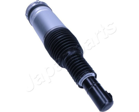 Pneumatic strut, Image 2