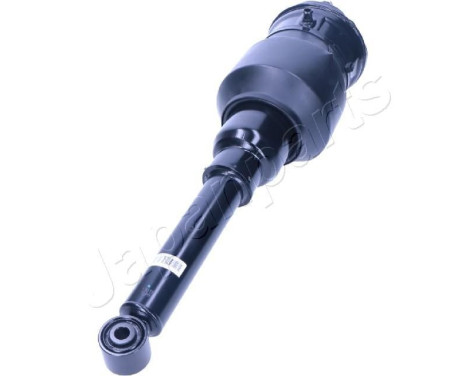 Pneumatic strut, Image 2