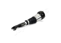 Pneumatic strut