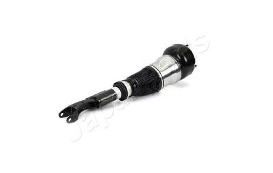 Pneumatic strut