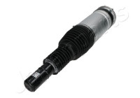 Pneumatic strut