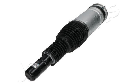 Pneumatic strut