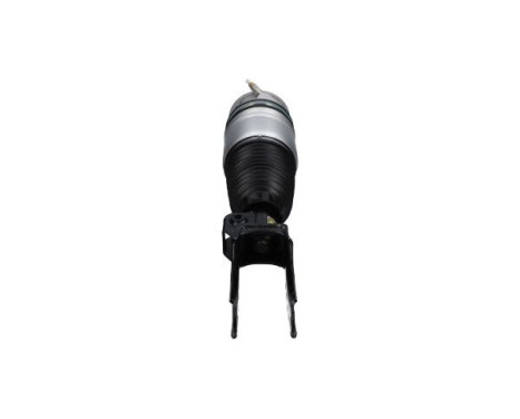 Pneumatic strut