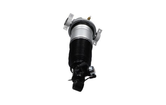 Pneumatic strut