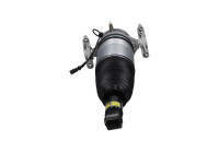 Pneumatic strut