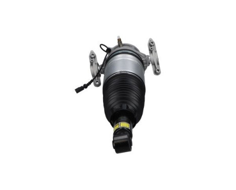 Pneumatic strut