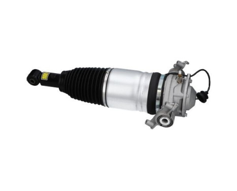 Pneumatic strut, Image 2