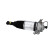 Pneumatic strut, Thumbnail 2