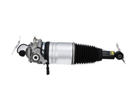 Pneumatic strut, Image 4