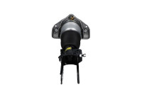 Pneumatic strut