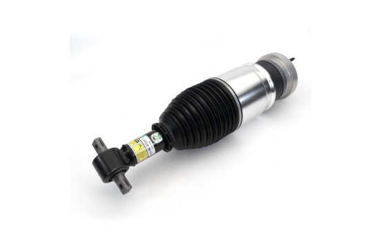 Pneumatic strut