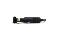 Pneumatic strut