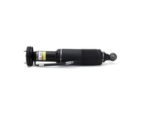 Pneumatic strut
