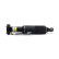 Pneumatic strut