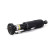 Pneumatic strut, Thumbnail 3